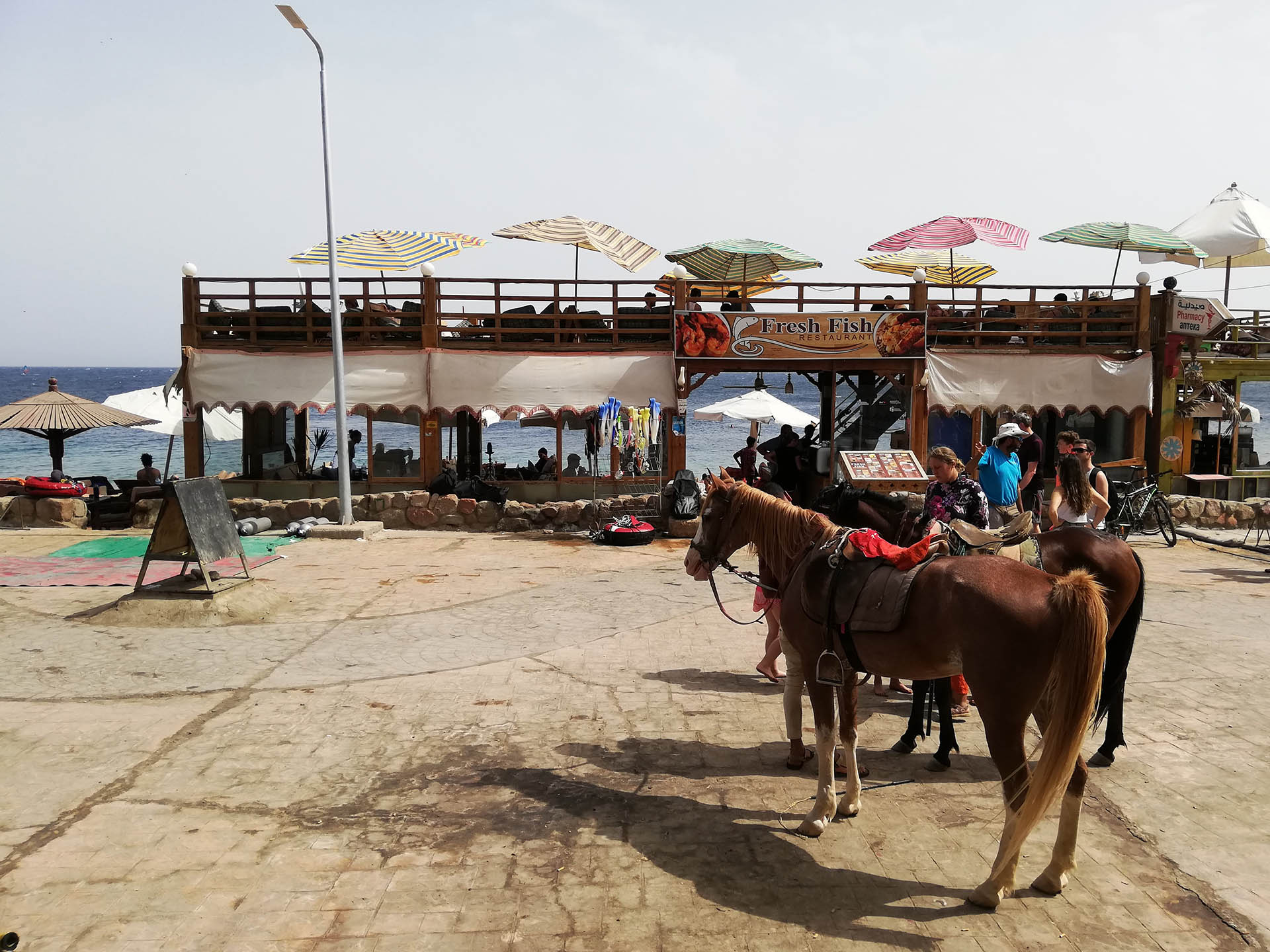 Egypt Dahab LightHouse Fresh Fish Restaurant 01 2019.jpg Egypt Dahab LightHouse Fresh Fish Restaurant 01 2019.jpg